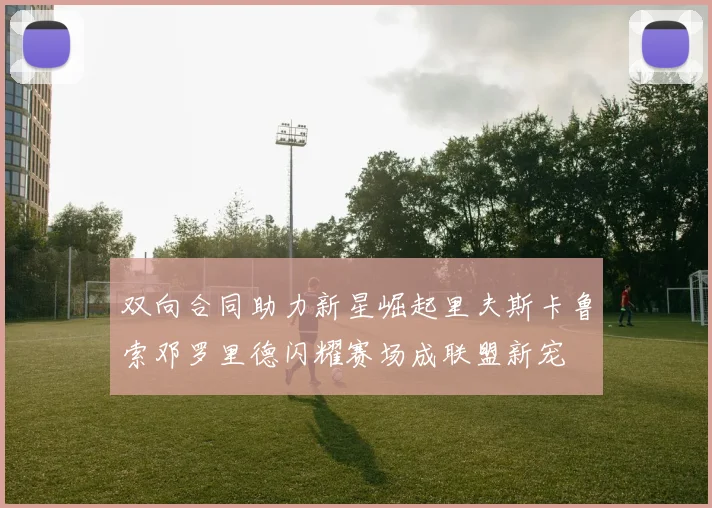 双向合同助力新星崛起里夫斯卡鲁索邓罗里德闪耀赛场成联盟新宠